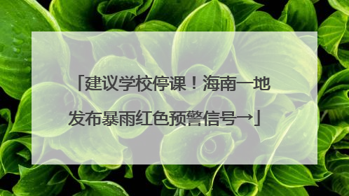 建议学校停课！海南一地发布暴雨红色预警信号→