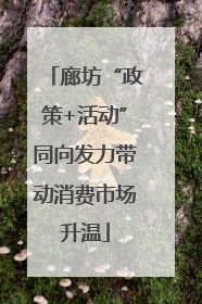 廊坊“政策+活动”同向发力带动消费市场升温