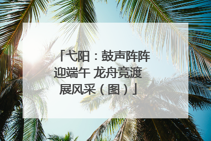弋阳：鼓声阵阵迎端午 龙舟竞渡展风采（图）