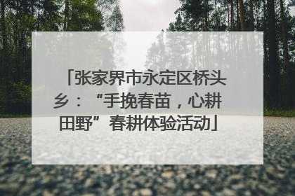 张家界市永定区桥头乡：“手挽春苗，心耕田野”春耕体验活动