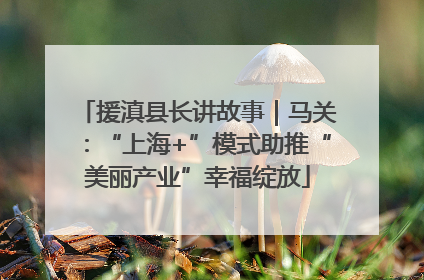 援滇县长讲故事｜马关：“上海+”模式助推“美丽产业”幸福绽放
