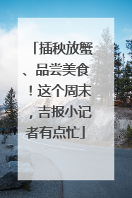 插秧放蟹、品尝美食！这个周末，吉报小记者有点忙