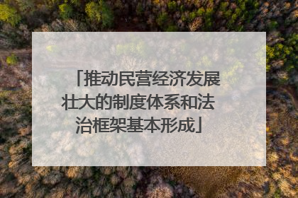 推动民营经济发展壮大的制度体系和法治框架基本形成