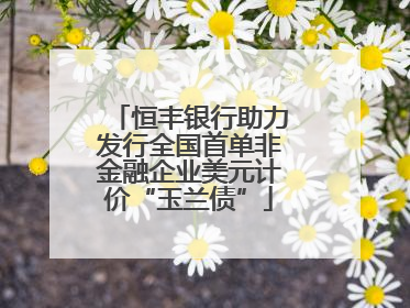 恒丰银行助力发行全国首单非金融企业美元计价“玉兰债”