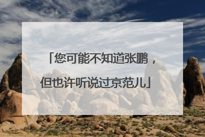 您可能不知道张鹏，但也许听说过京范儿