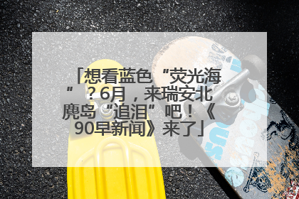 想看蓝色“荧光海”？6月，来瑞安北麂岛“追泪”吧！《90早新闻》来了