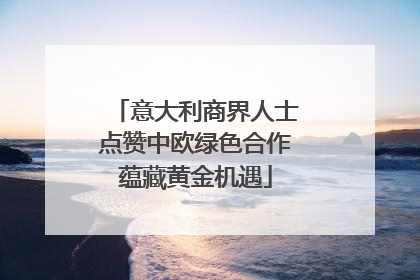 意大利商界人士点赞中欧绿色合作蕴藏黄金机遇