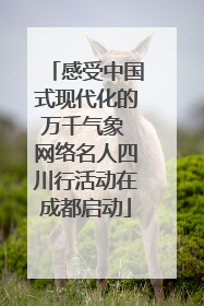 感受中国式现代化的万千气象 网络名人四川行活动在成都启动