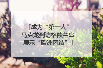 成为“第一人” 马克龙到访格陵兰岛展示“欧洲团结”