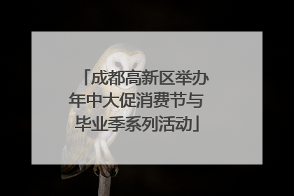 成都高新区举办年中大促消费节与毕业季系列活动