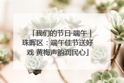 我们的节日·端午｜珠晖区：端午佳节送好戏 黄梅声韵润民心
