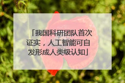 我国科研团队首次证实，人工智能可自发形成人类级认知