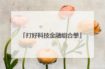 打好科技金融组合拳