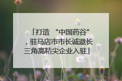 打造 “中国药谷”，驻马店市市长诚邀长三角高精尖企业入驻