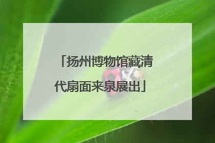 扬州博物馆藏清代扇面来泉展出