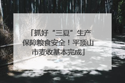 抓好“三夏”生产 保障粮食安全！平顶山市麦收基本完成