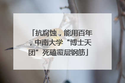 抗腐蚀，能用百年，中南大学“博士天团”死磕覆层钢筋