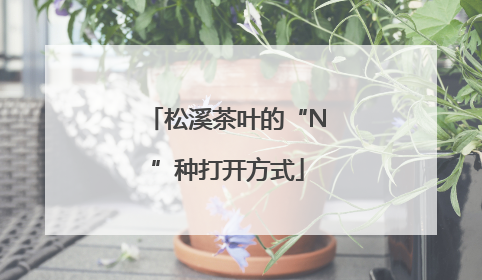 松溪茶叶的“N”种打开方式