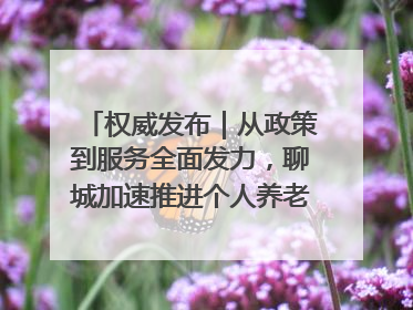 权威发布｜从政策到服务全面发力，聊城加速推进个人养老金制度落地