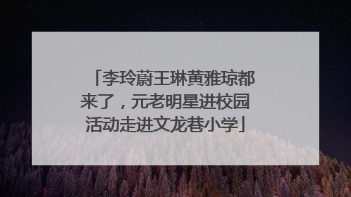 李玲蔚王琳黄雅琼都来了，元老明星进校园活动走进文龙巷小学
