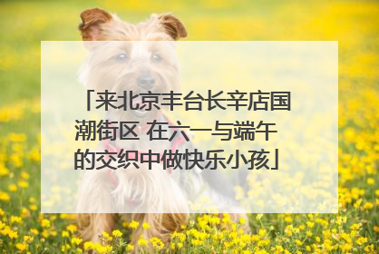 来北京丰台长辛店国潮街区 在六一与端午的交织中做快乐小孩