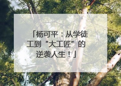 杨可平：从学徒工到“大工匠”的逆袭人生！