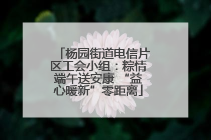 杨园街道电信片区工会小组：粽情端午送安康 “益心暖新”零距离