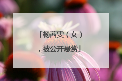 杨茜雯（女），被公开悬赏