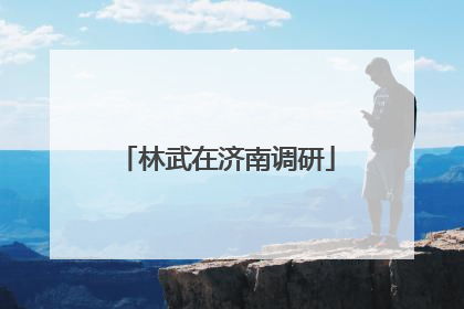 林武在济南调研