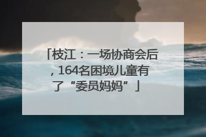 枝江：一场协商会后，164名困境儿童有了“委员妈妈”
