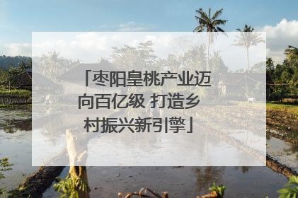 枣阳皇桃产业迈向百亿级 打造乡村振兴新引擎