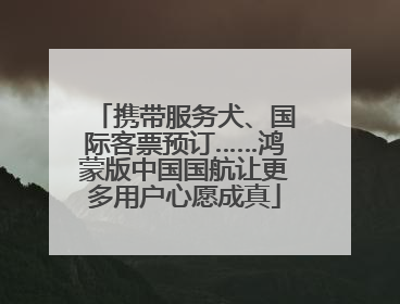 携带服务犬、国际客票预订……鸿蒙版中国国航让更多用户心愿成真