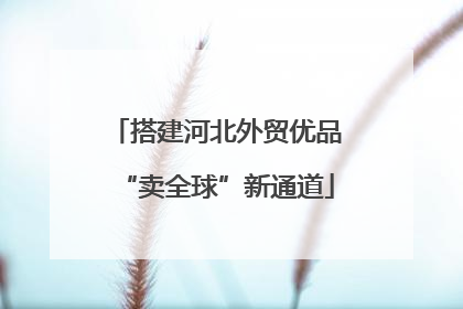 搭建河北外贸优品“卖全球”新通道