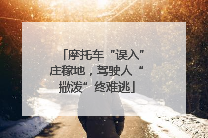 摩托车“误入”庄稼地，驾驶人“撒泼”终难逃