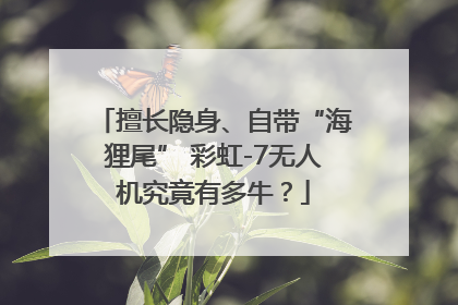 擅长隐身、自带“海狸尾” 彩虹-7无人机究竟有多牛？