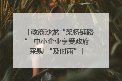 政商沙龙“架桥铺路” 中小企业享受政府采购 “及时雨”