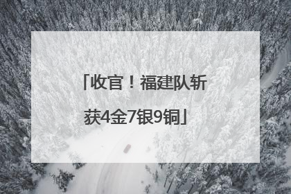 收官！福建队斩获4金7银9铜