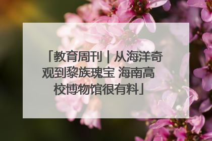 教育周刊｜从海洋奇观到黎族瑰宝 海南高校博物馆很有料