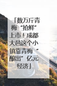 数万斤青梅“抢鲜”上市！成都大邑这个小镇靠青梅“酿出”亿元经济