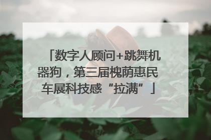 数字人顾问+跳舞机器狗，第三届槐荫惠民车展科技感“拉满”