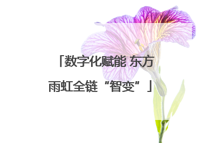 数字化赋能 东方雨虹全链“智变”
