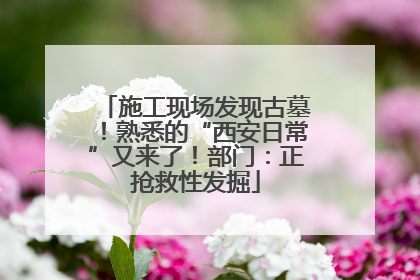 施工现场发现古墓！熟悉的“西安日常”又来了！部门：正抢救性发掘