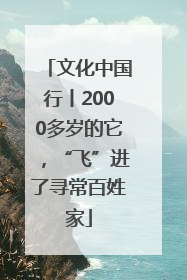 文化中国行丨2000多岁的它，“飞”进了寻常百姓家