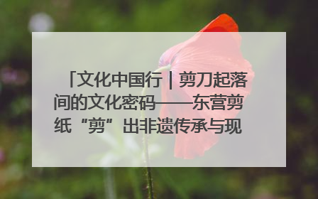 文化中国行｜剪刀起落间的文化密码——东营剪纸“剪”出非遗传承与现代生活的融合之道