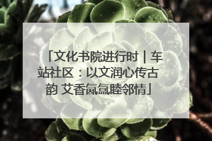 文化书院进行时｜车站社区：以文润心传古韵 艾香氤氲睦邻情
