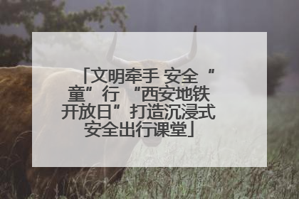 文明牵手 安全“童”行 “西安地铁开放日”打造沉浸式安全出行课堂