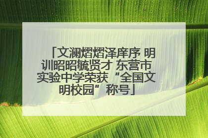 文澜熠熠泽庠序 明训昭昭毓贤才 东营市实验中学荣获“全国文明校园”称号