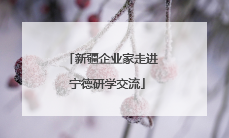 新疆企业家走进宁德研学交流