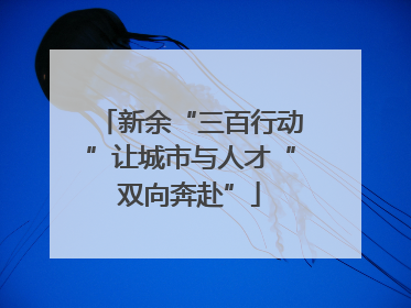 新余“三百行动”让城市与人才“双向奔赴”