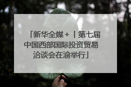 新华全媒＋丨第七届中国西部国际投资贸易洽谈会在渝举行